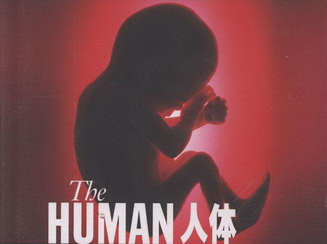 BBC.Inside the Human Body【人体奥秘】2011 百度盘下载