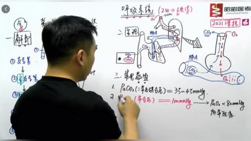 2021昭昭医考基础精讲班呼吸系统（6.52G高清视频）百度网盘分享